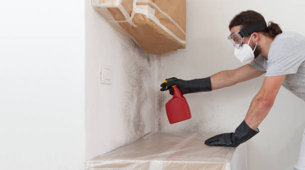 Professional Bathroom Mold Removal technician working in Woodward, PA