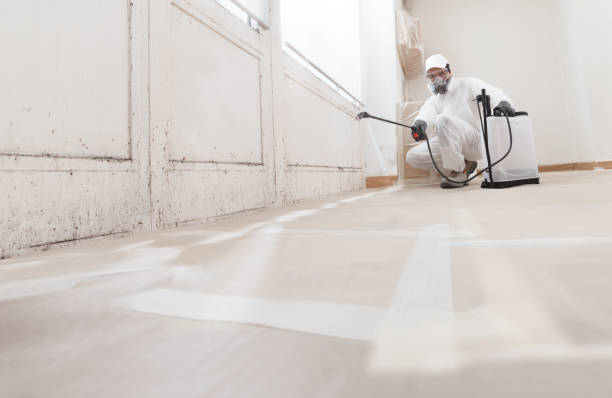 24/7 Emergency Bathroom Mold Removal experts in Woodward, PA