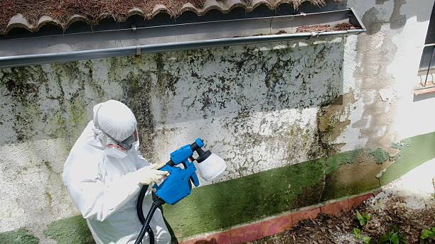 Top rated local Bathroom Mold Removal specialists in Woodward, PA